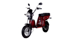 Detel Ev Veeru (HT Auto photo) 