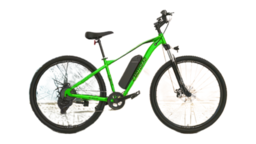 Emotorad T-rex-air (HT Auto photo) 