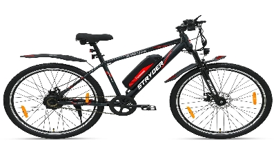 Stryder ARCUS E-Bike
