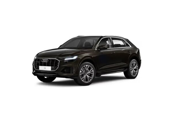Audi Q8 [2020-2024] Tamarind Brown Metallic