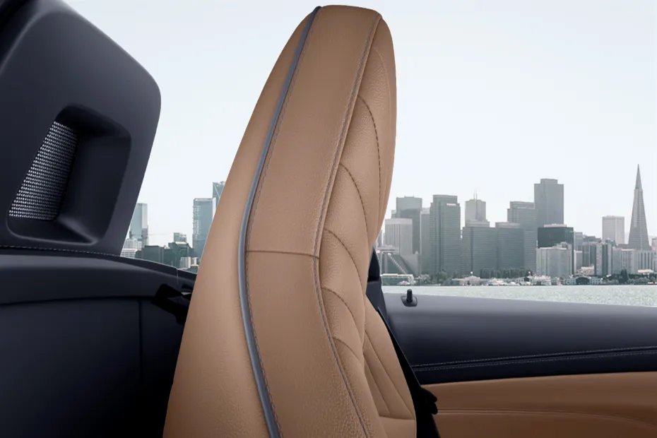 BMW Z4 Seat Headrest