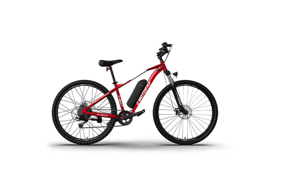 EMotorad T-Rex-Air Coral Cruise