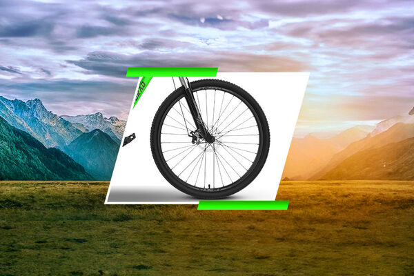 EMotorad T-Rex-Air Front Tyre View