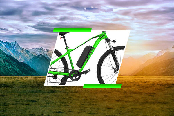 EMotorad T-Rex-Air Pandle View