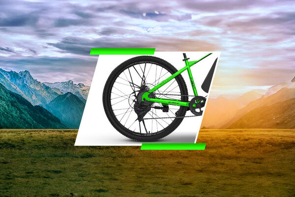 EMotorad T-Rex-Air Rear Tyre View