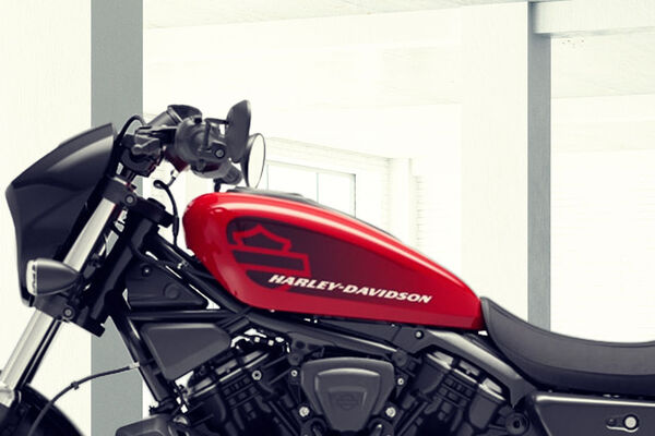 Harley-Davidson Nightster Brand Name And Fuel Tank View