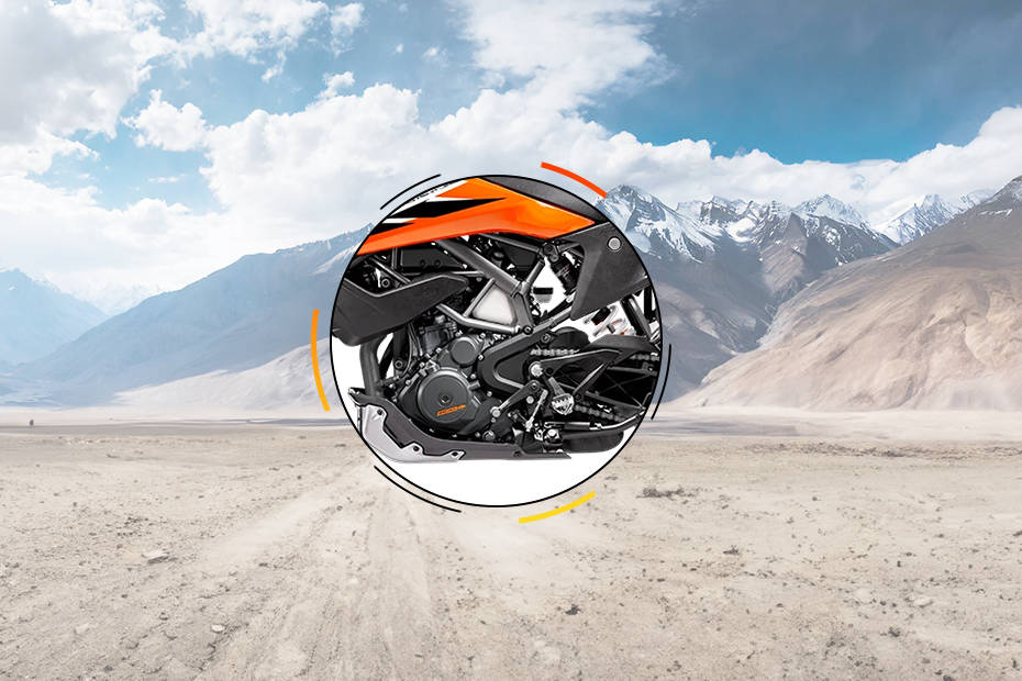 KTM 250 Adventure [2020-2025] Engine View