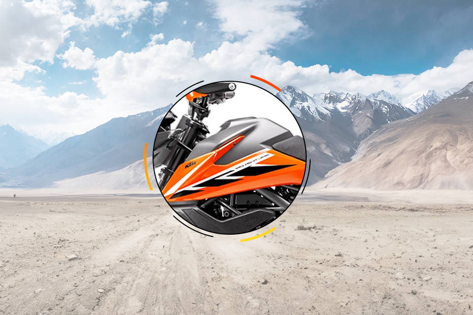 KTM 250 Adventure [2020-2025] Tank View