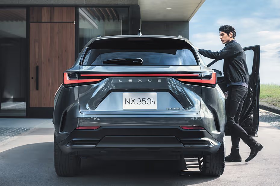 Lexus NX Rear View