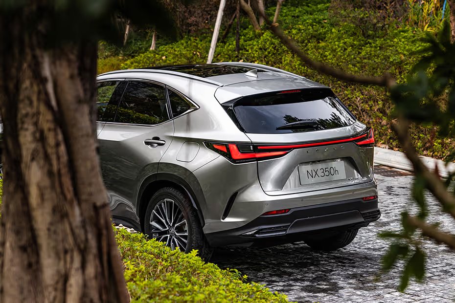 Lexus NX Taillight