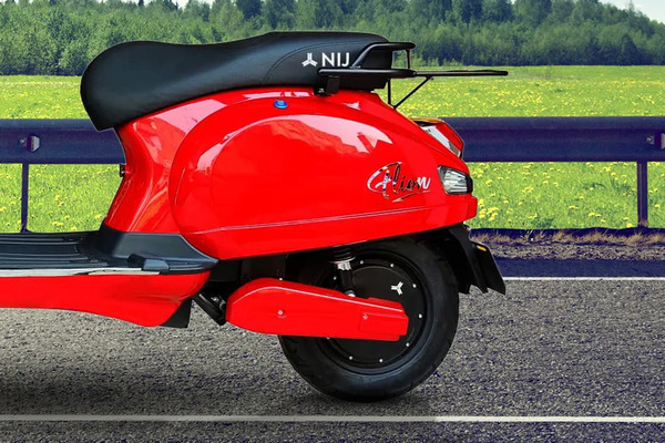 NIJ Automotive Flion Model Name View