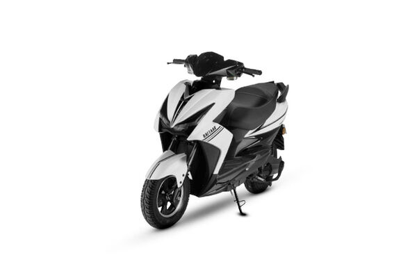 Raftaar Bumblebee White