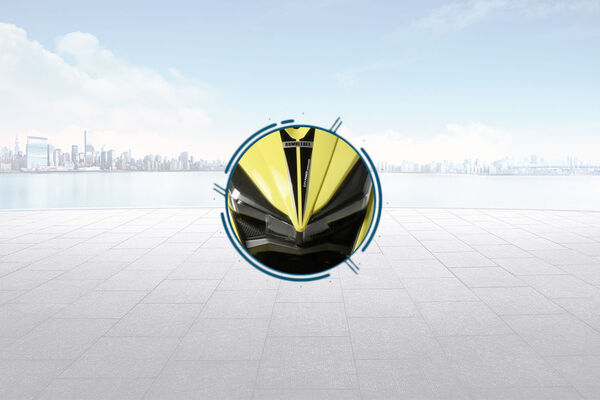 Raftaar Bumblebee Mudguard View