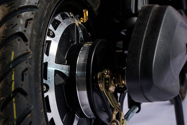 Viertric Max Rear Disc View