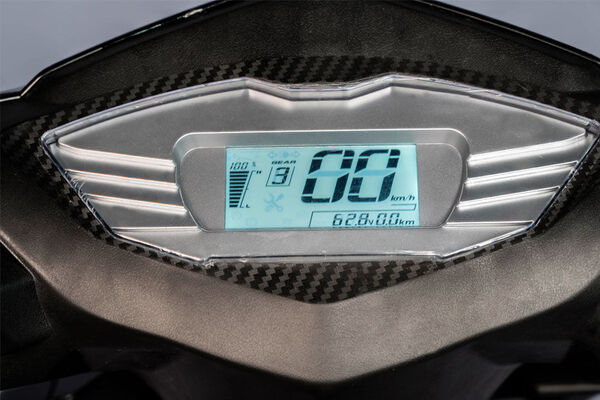 Viertric XL Speedometer View