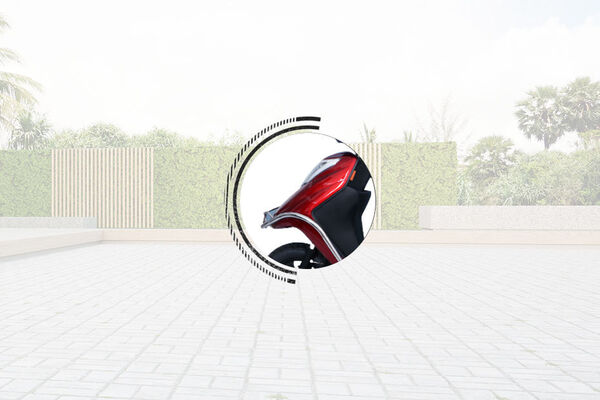 Warivo Motors Queen Mudguard View