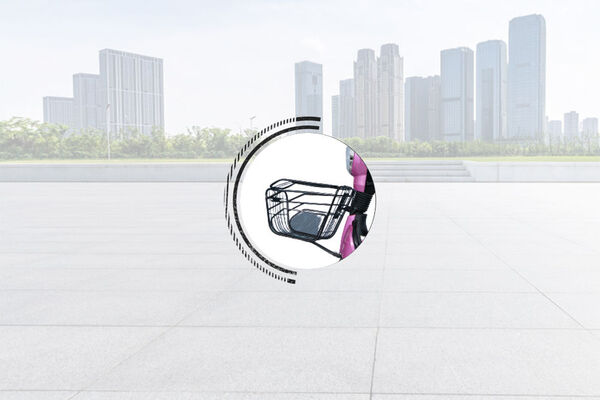 Warivo Motors Smarty Basket View