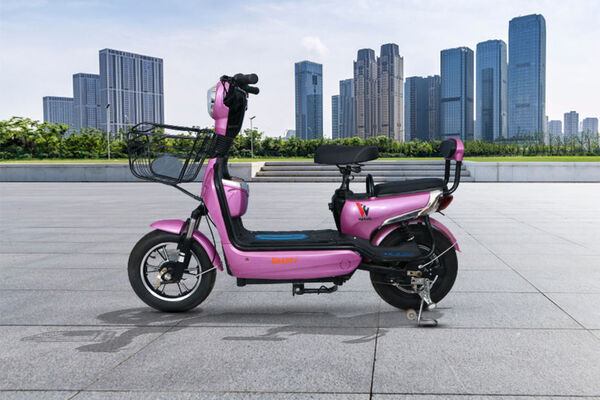 Warivo Motors Smarty Left View