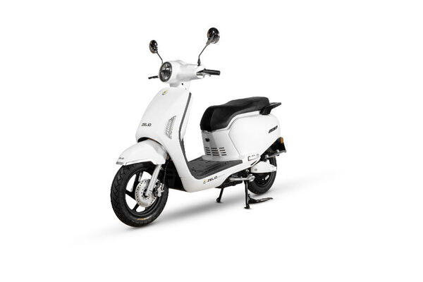 Zelio Gracy Pro White